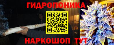 ГАЛЛЮЦИНОГЕННЫЕ ГРИБЫ Чебаркуль