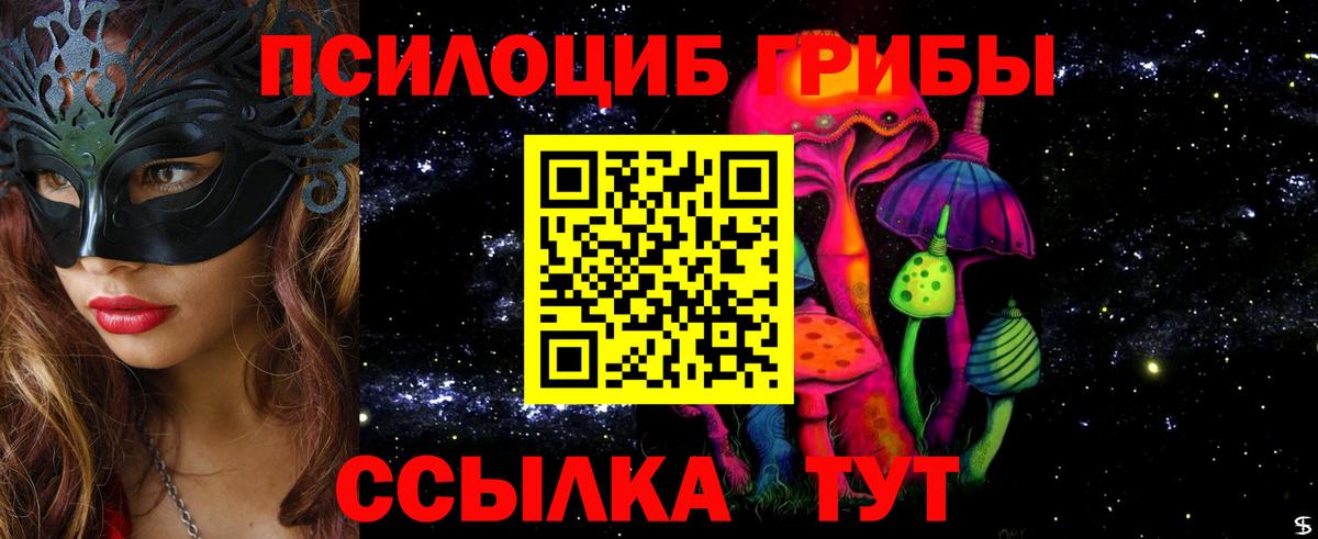 Галлюциногенные грибы Psilocybine cubensis Миасс