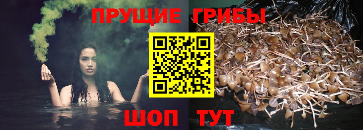 Псилоцибиновые грибы мухоморы  Вход с VPN  Миасс 